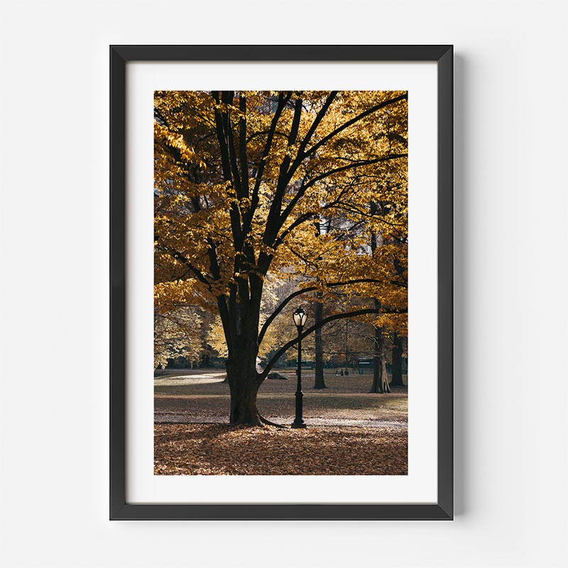 OblongShop's Central Park wall art with a stunning big tree in yellow autumn leaves, ideal for living room decor.
