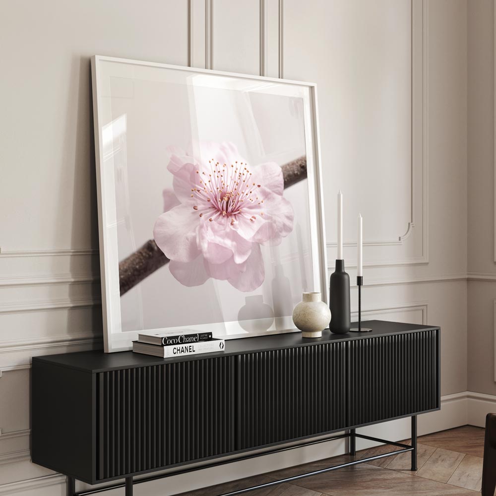 Solo Cherry Blossom Art Print
