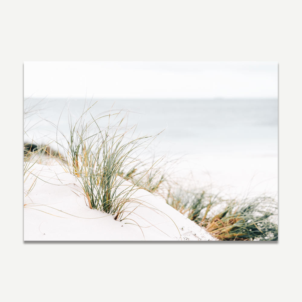 Sea Grass Art Print