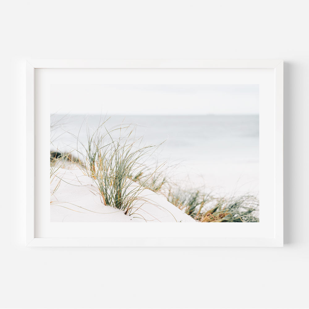 Sea Grass Art Print