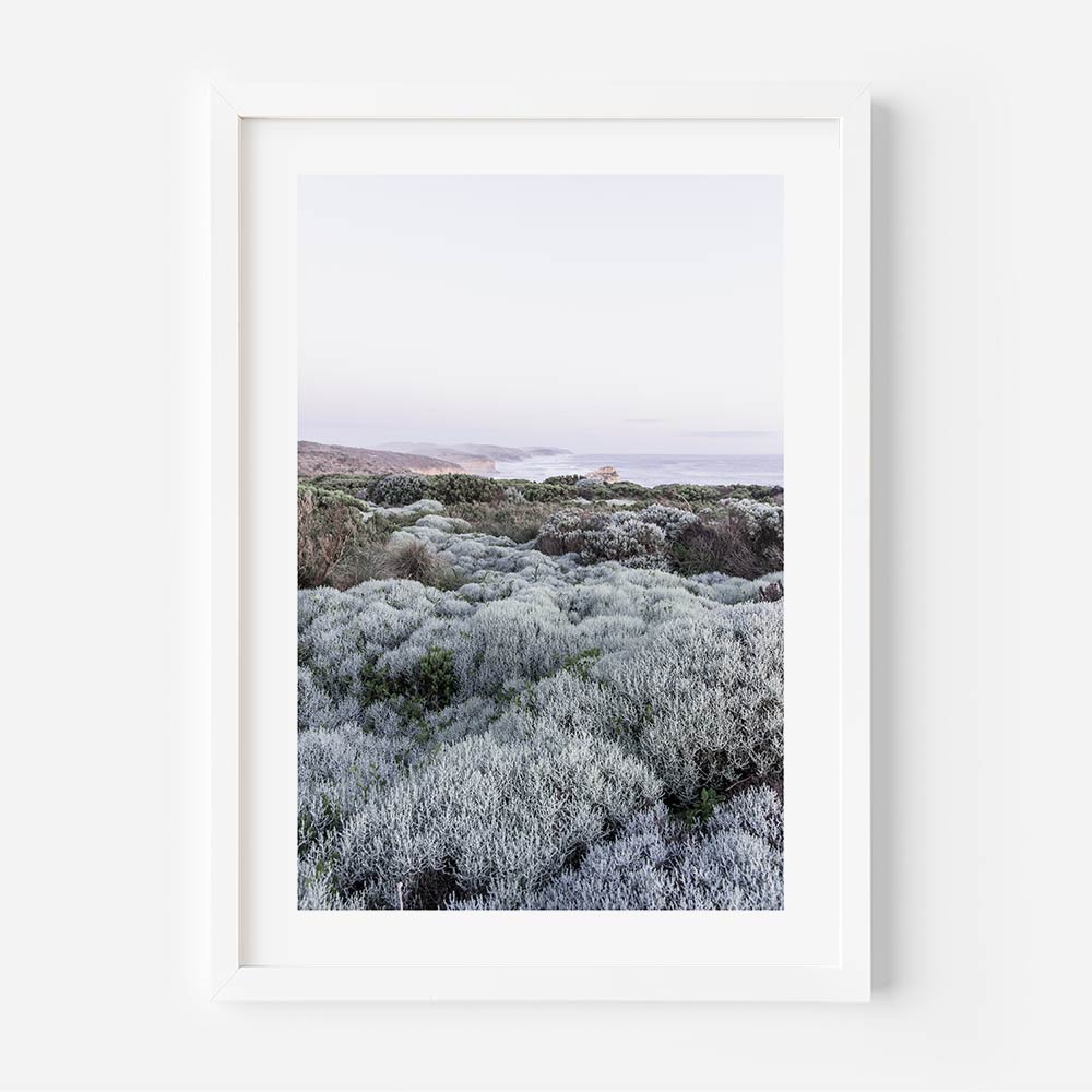 Real photography wall art: a black framed image of a field of plants from Great Ocean Road, Victoria, available for purchase.