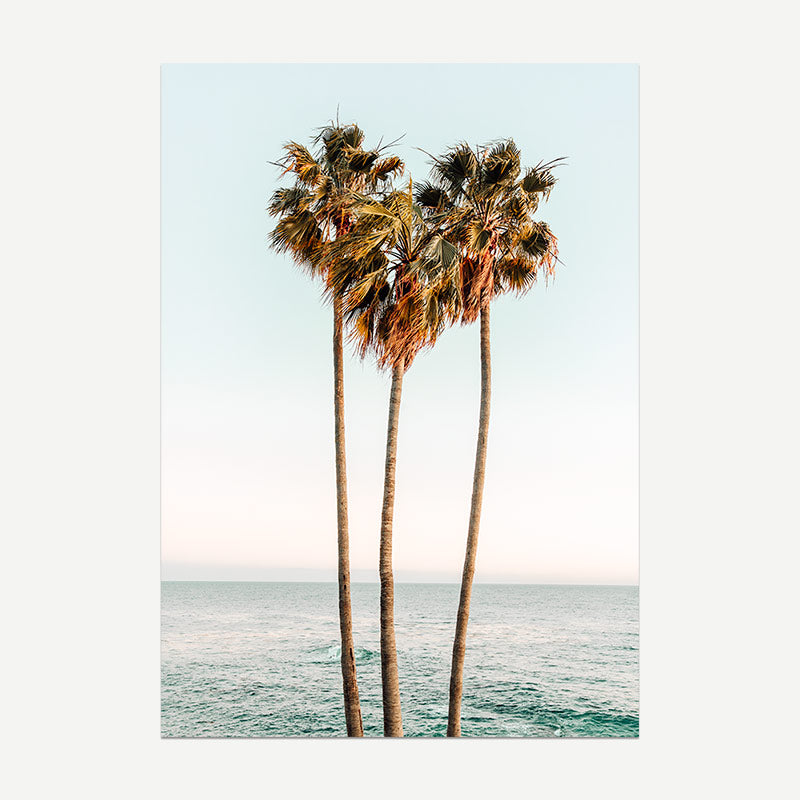 Three palm trees by the ocean with a clear sky.