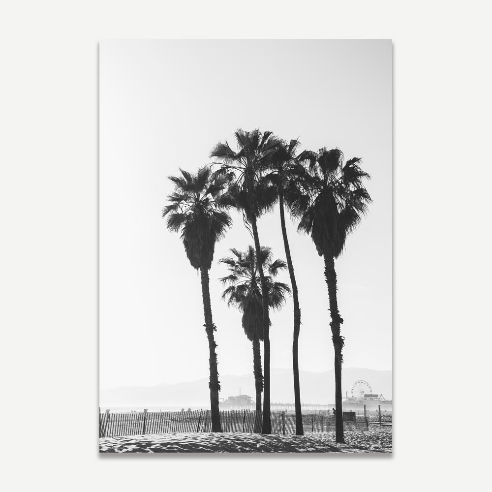 A black and white photograph of palm trees at the beach, with the ocean and a boardwalk visible in the background.