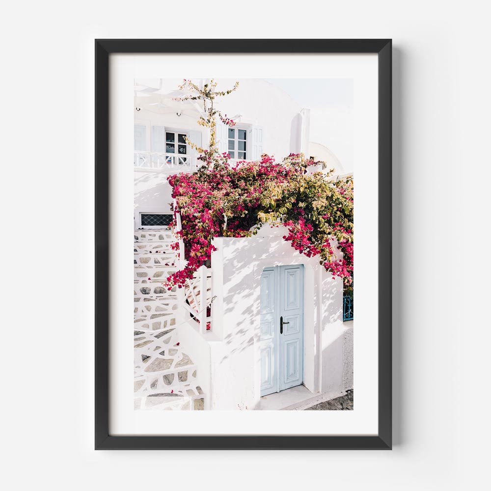 Floral Facades Santorini Art Print