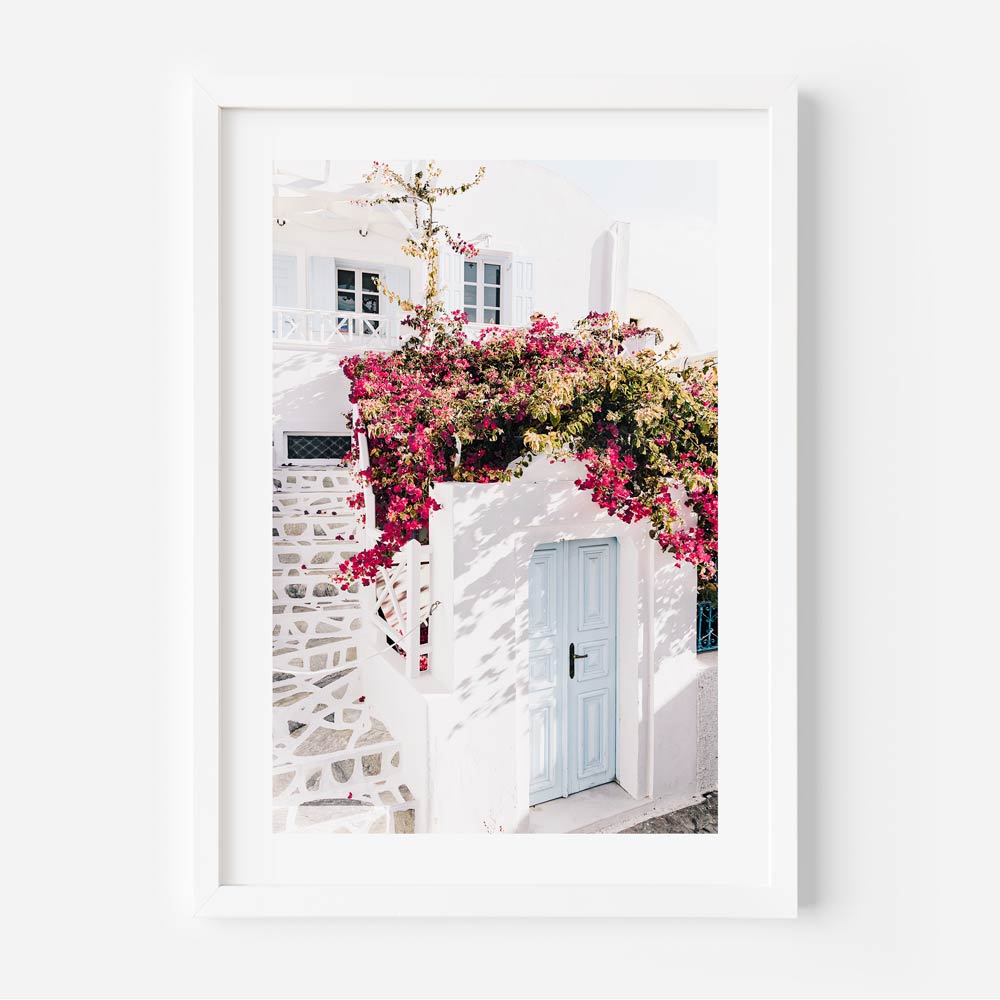 Floral Facades Santorini Art Print