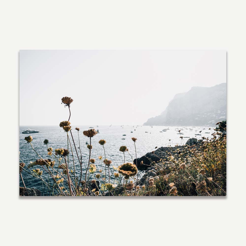 Wildflowers clinging to the cliffs on the way to Fontelina Beach Club, Capri, capturing the dramatic contrast of dark blue sea and earthy wildflowers, ideal for coastal and Mediterranean-inspired decor.