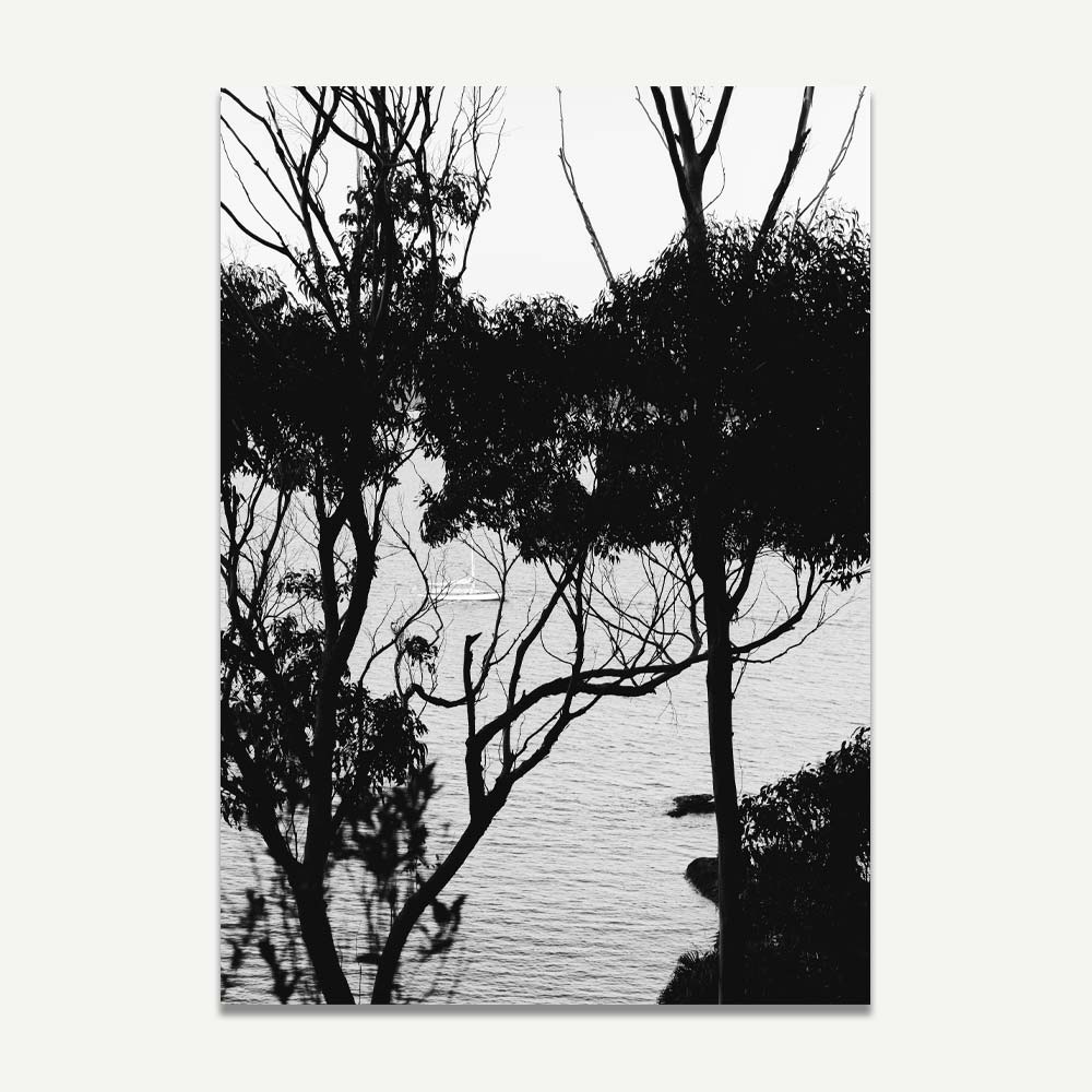 Sail Away photograph by Seus Ku: Enhance your space with this captivating piece of wall art.