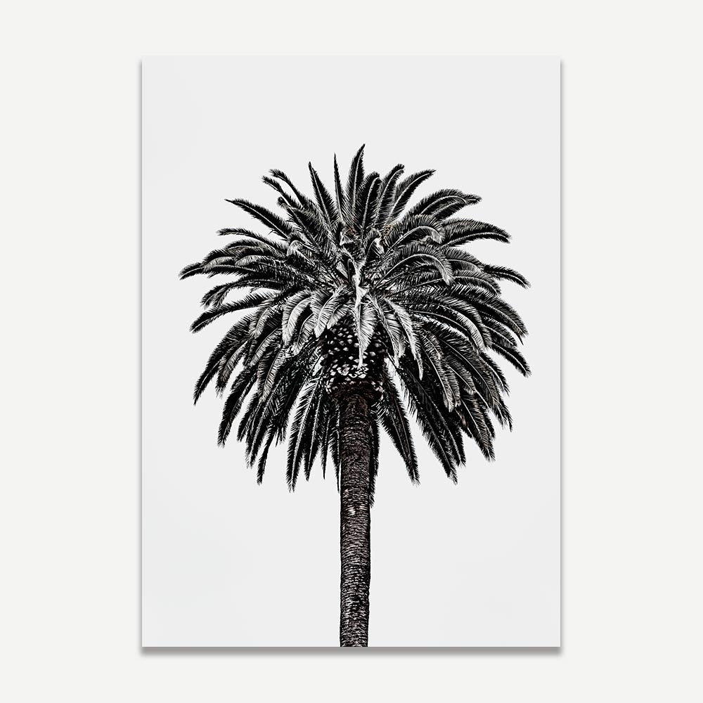 Beverly Hills Palm Art Print