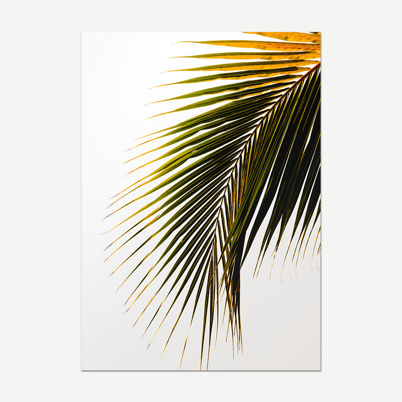 Coconut Frond II Art Print