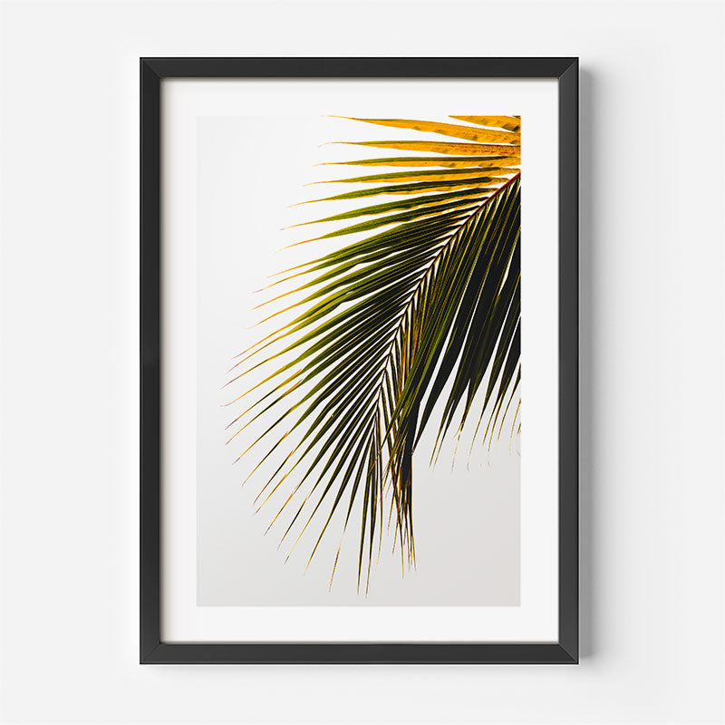 Coconut Frond II Art Print