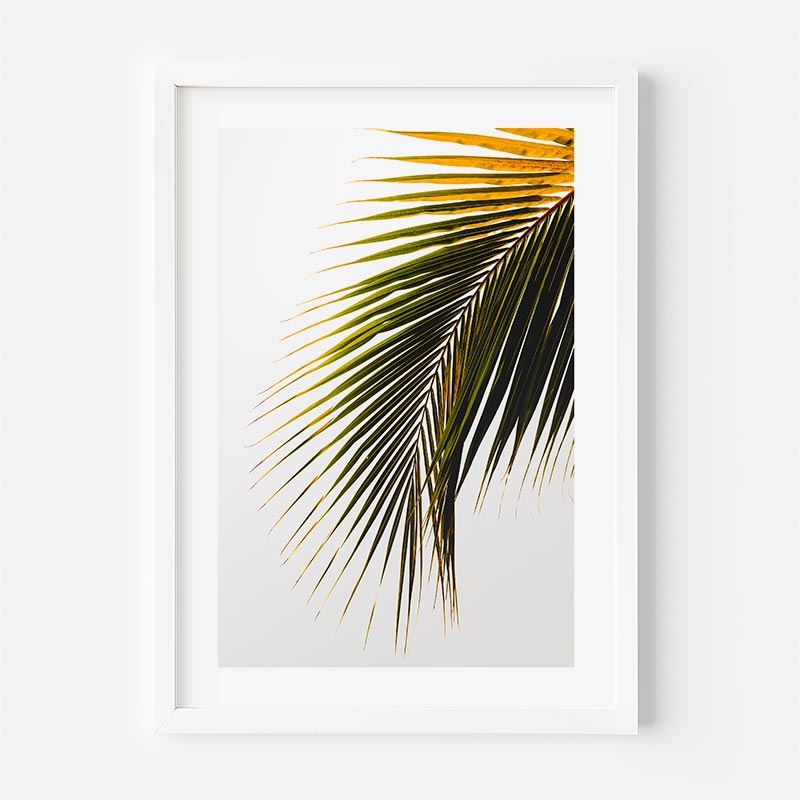 Coconut Frond II Art Print