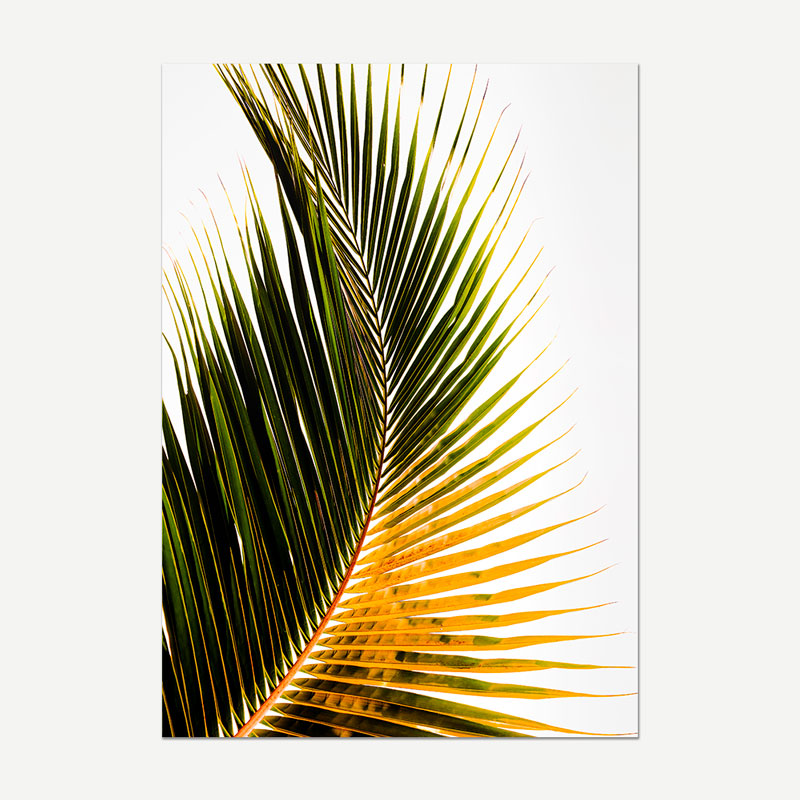 Coconut Frond I Art Print