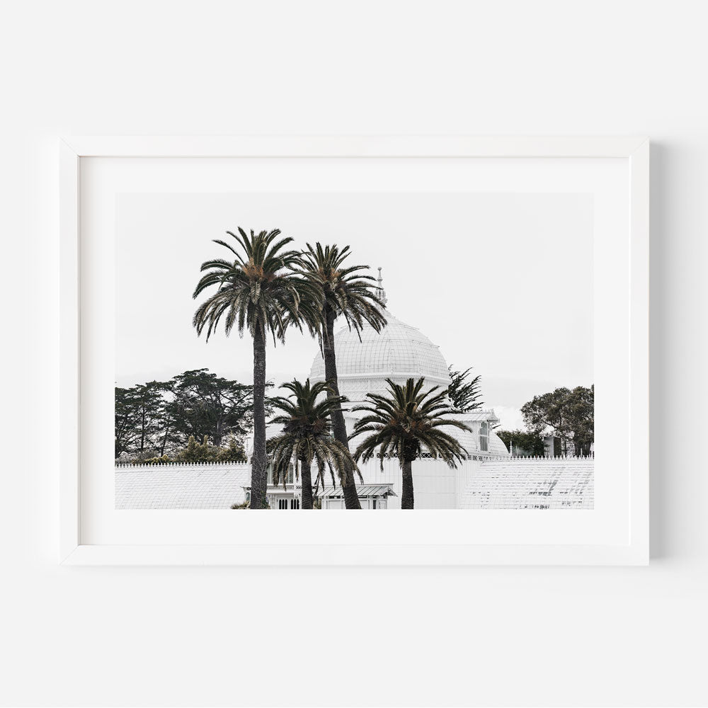 White Majesty wall art featuring San Francisco's Conservatory of Flowers framed by graceful palm trees.