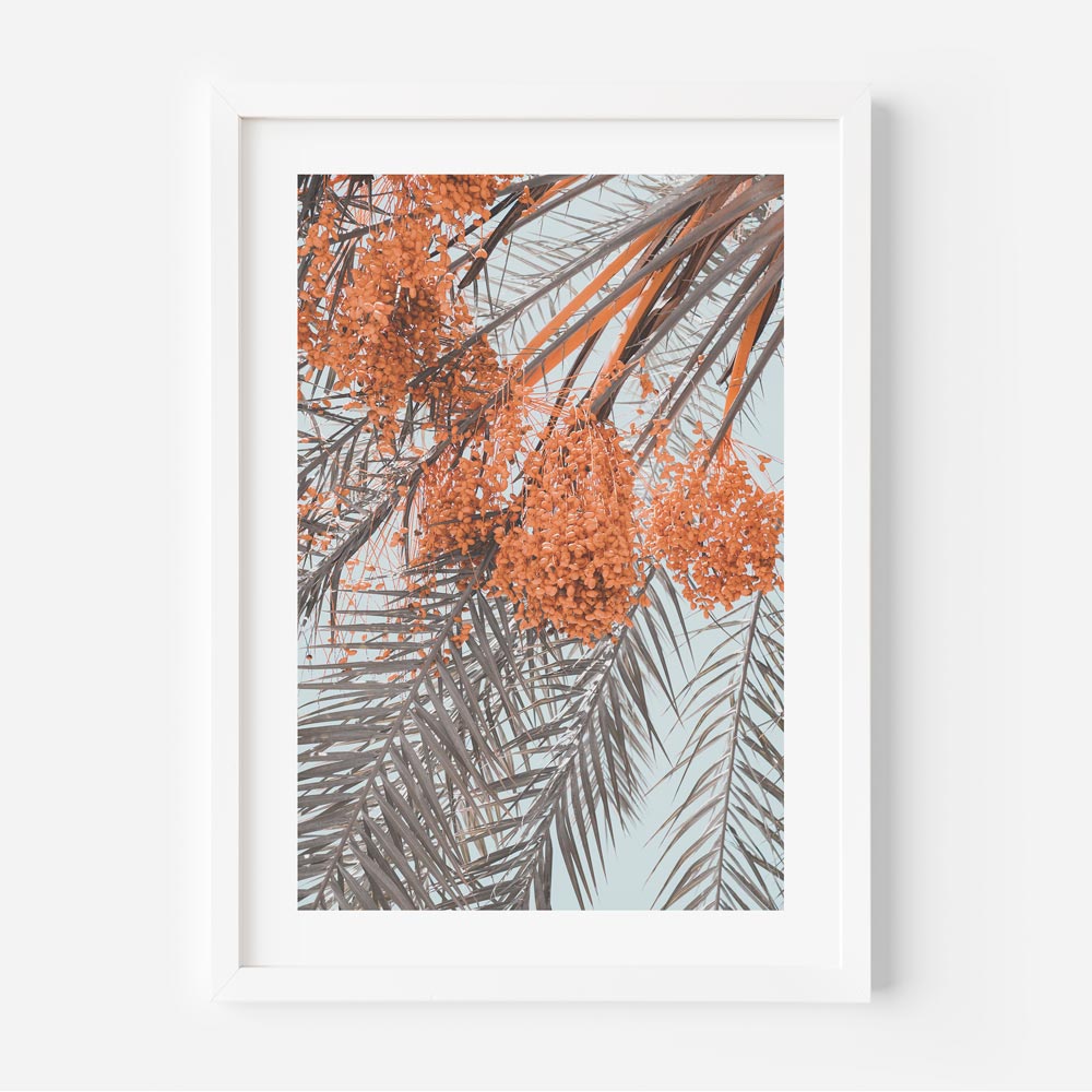 Costa Mesa Palm Art Print