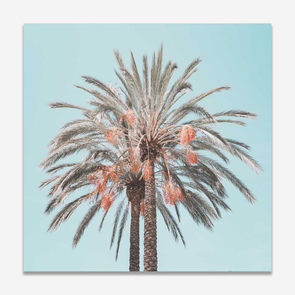 Costa Mesa Palms SQ Art Print
