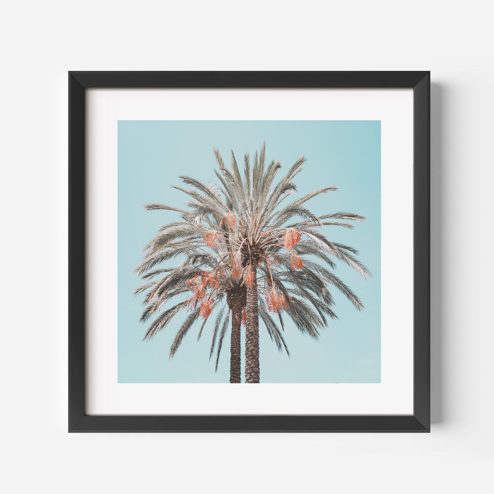 Costa Mesa Palms SQ Art Print