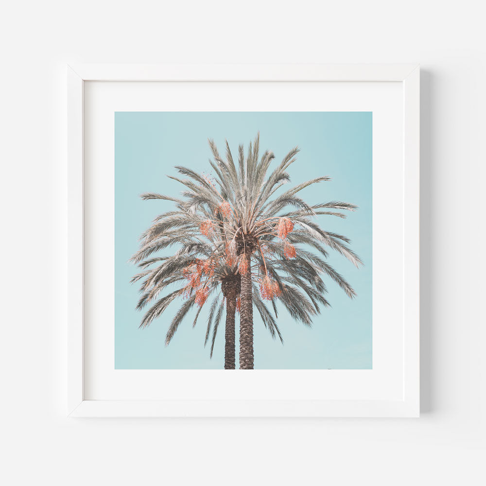 Costa Mesa Palms SQ Art Print