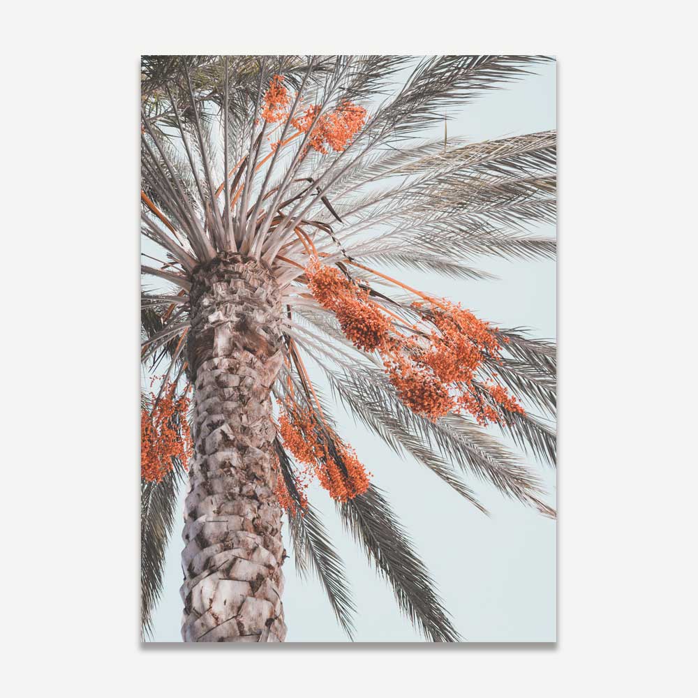 Costa Mesa Palm Tree Art Print