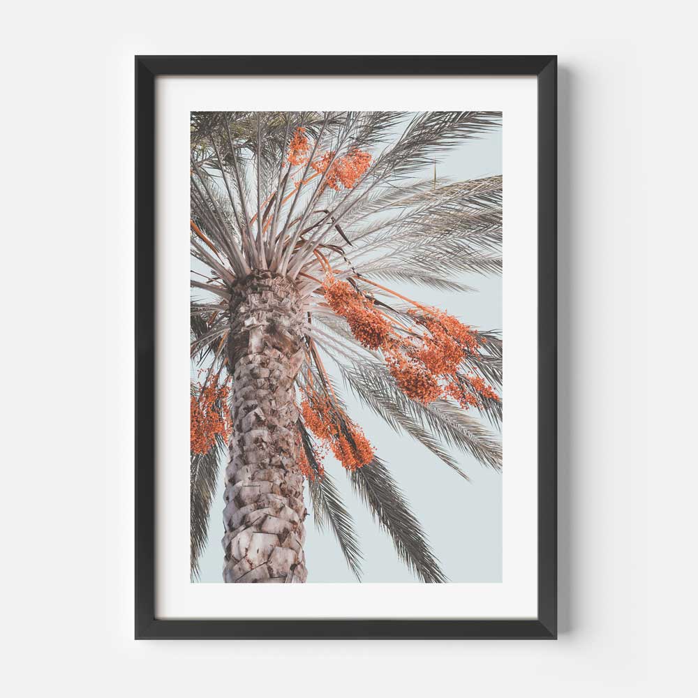 Costa Mesa Palm Tree Art Print