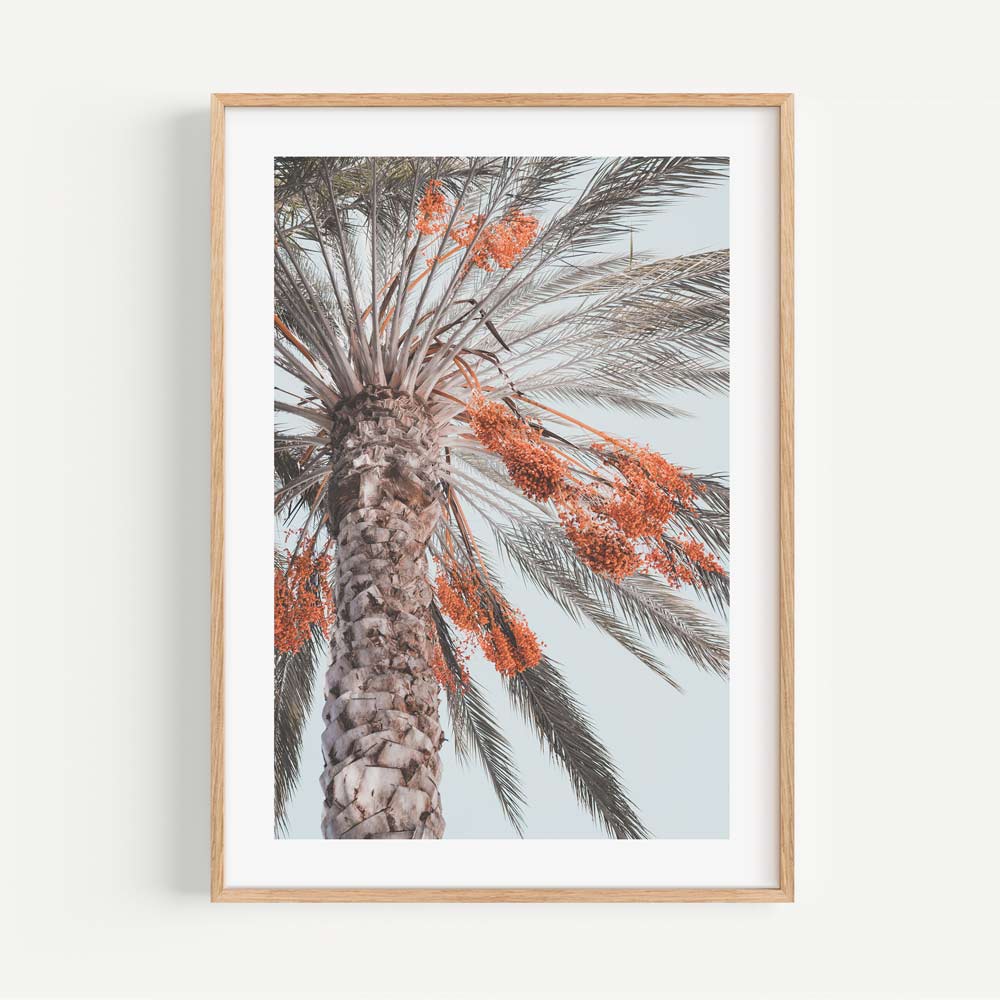 Costa Mesa Palm I
