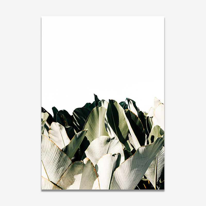 Cuban Cigar SG Art Print