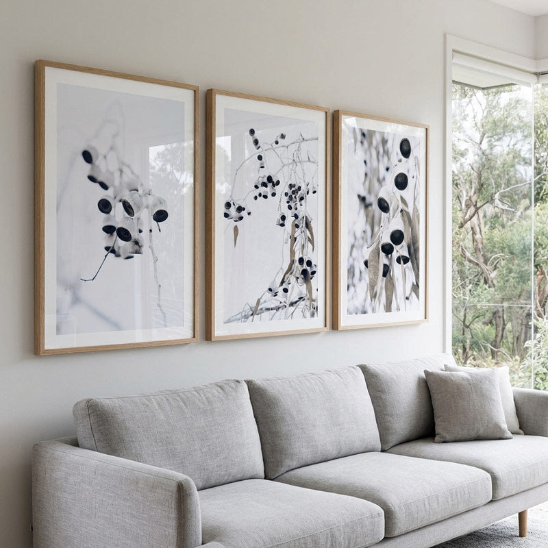 Three framed botanical art prints with black and white plant illustrations hang on a light beige wall above a modern light gray fabric sofa. The frames are light wood, and a large window on the right shows green trees outside.