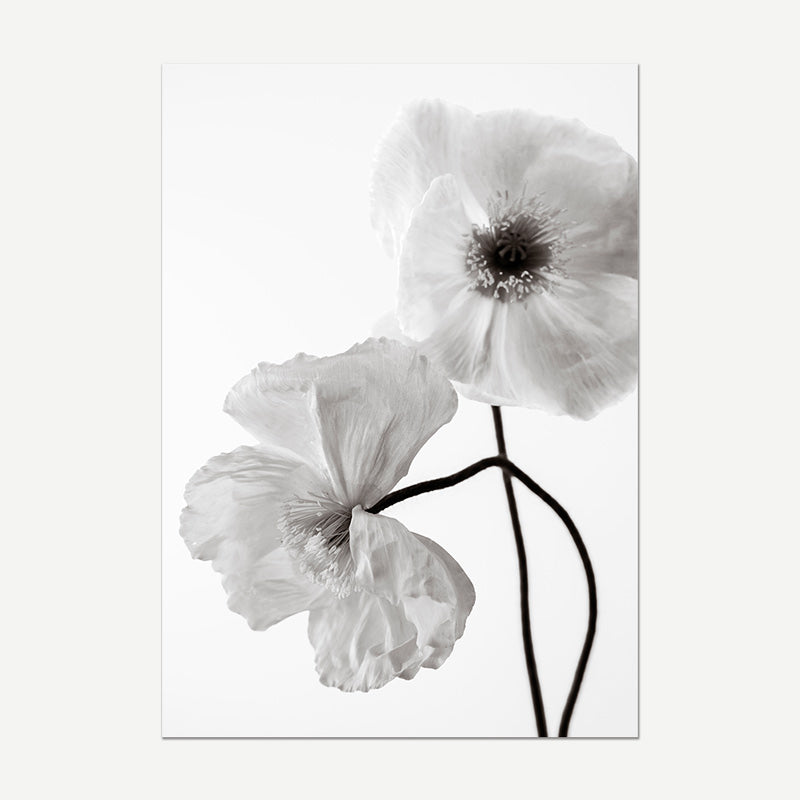Fine Art Black and White Heavenly Poppies