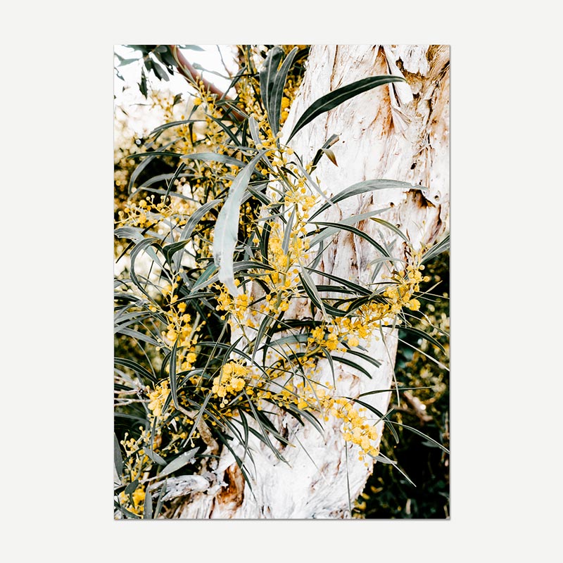A vertical photographic art print depicting yellow flowers and green leaves growing on a textured white tree trunk, shown against a light gray background.