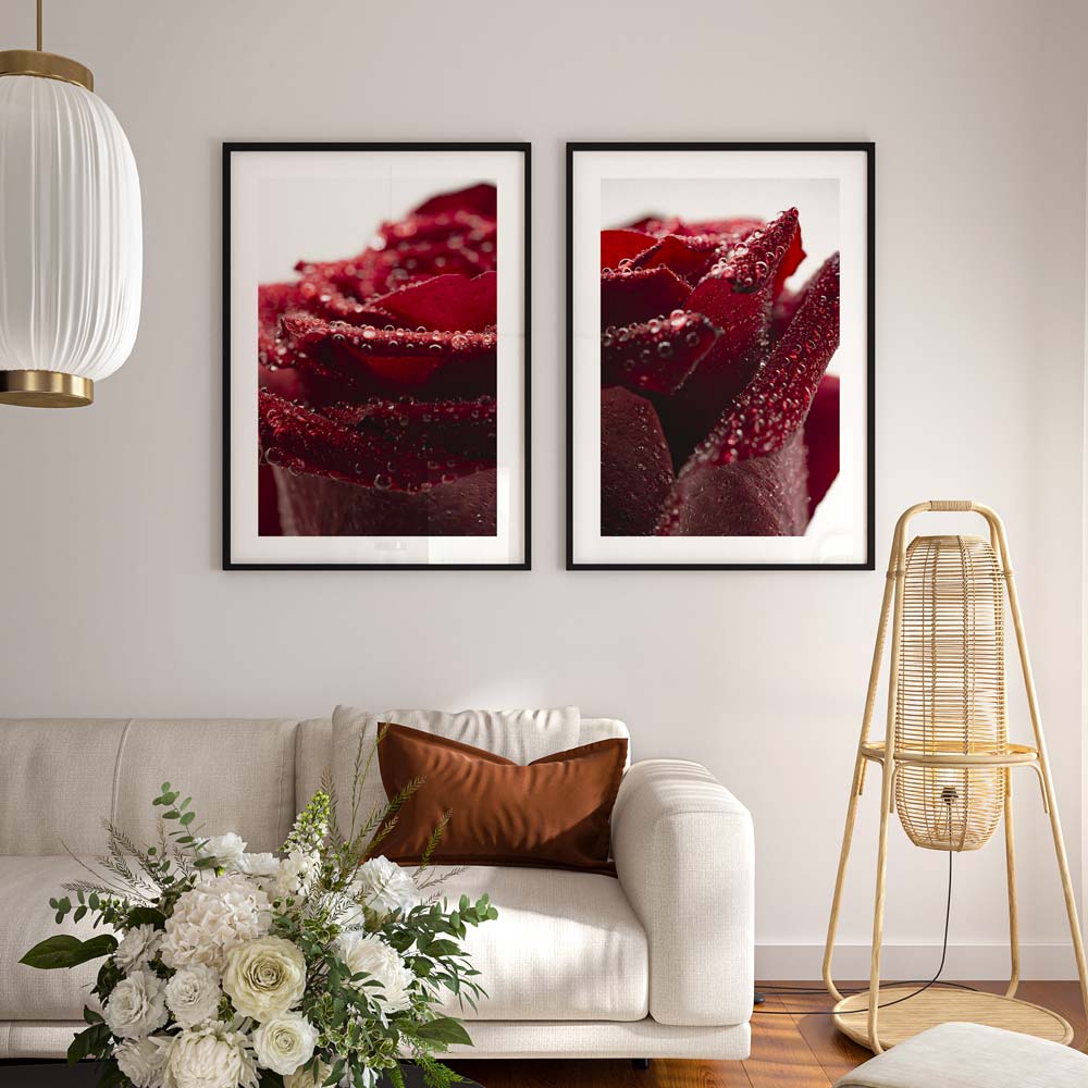Red Rose II Art Print