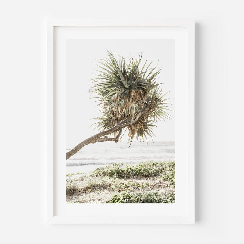 GC Pandanus II