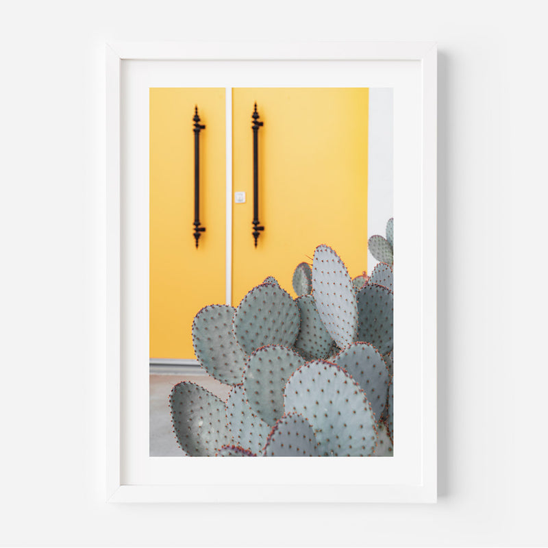 Gold Door Cactus