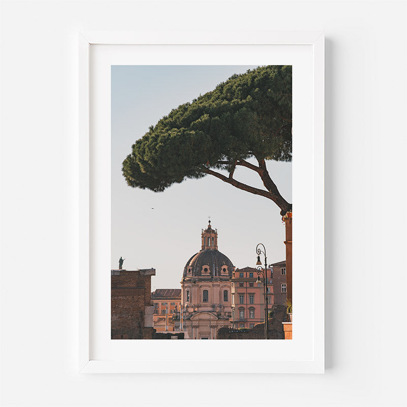 A framed art print featuring a scenic photograph of a historic domed building under a large pine tree, presented in a white frame against a light gray wall.