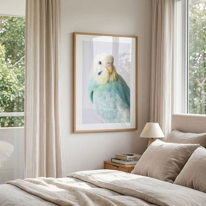 A framed art print of a light blue and white budgerigar parrot hanging on a bedroom wall above a bed with neutral beige bedding and a bedside lamp.