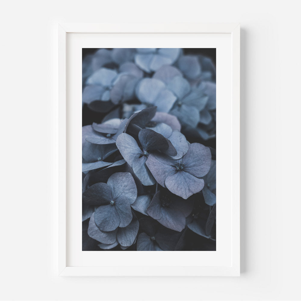 Close-up photograph showcasing the intricate details of Hydrangea leaves, perfect for botanical-themed wall decor.