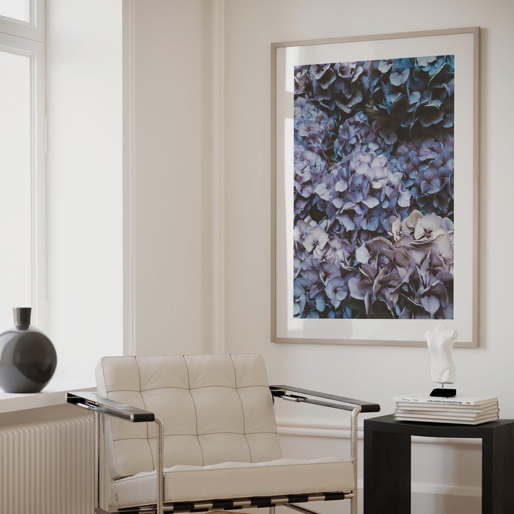 Stunning photograph of Hydrangea Blooms on canvas - Ideal for enhancing your wall decor.