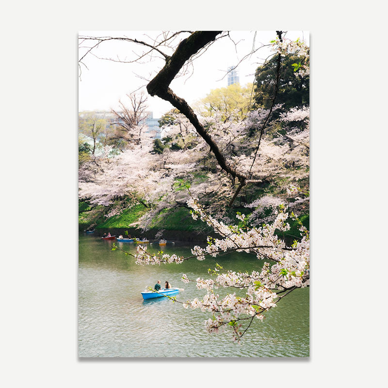 Tokyo Sakura Time Art Print