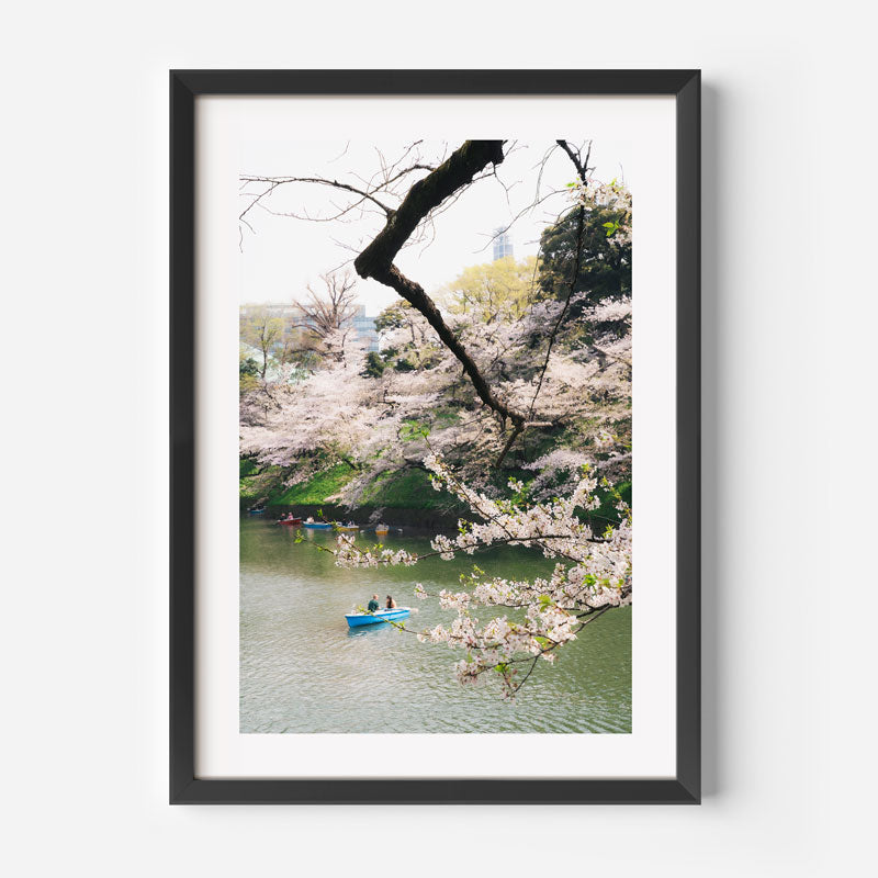 Tokyo Sakura Time Art Print