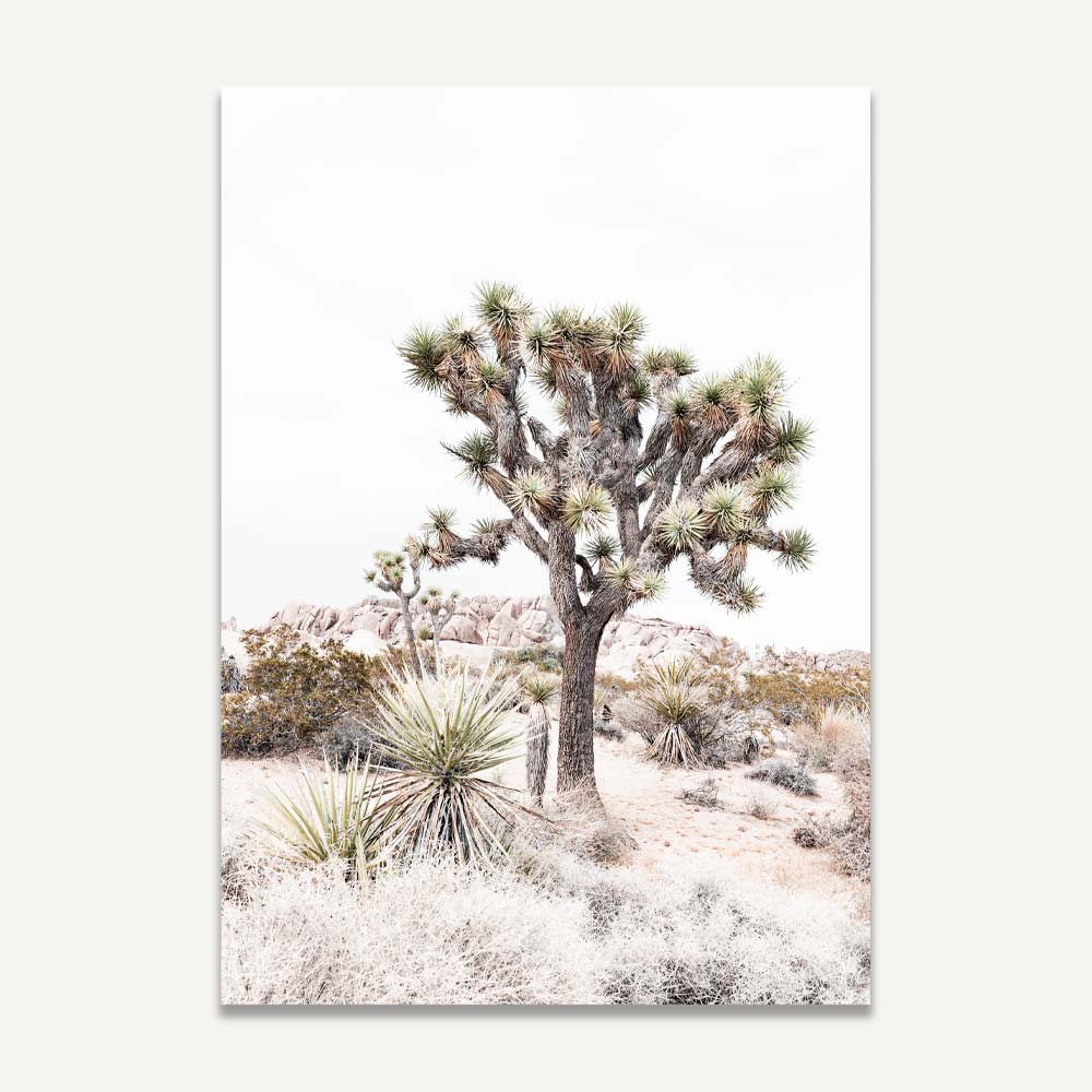 Set of 2 Art Prints - Joshua Tree & Yukka
