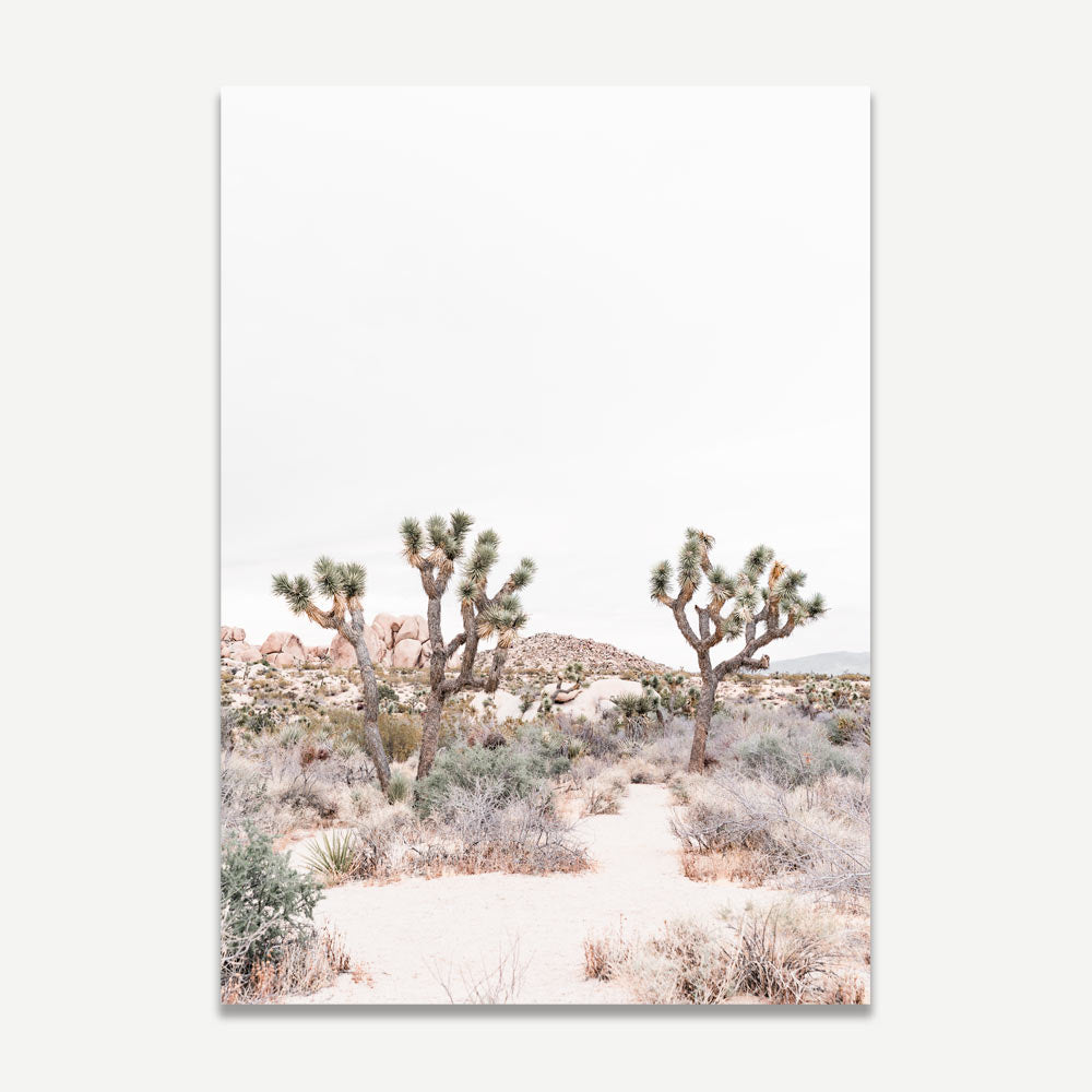 A photograph depicting the landscape of Joshua Tree National Park with shrubs and Joshua trees in the background.
