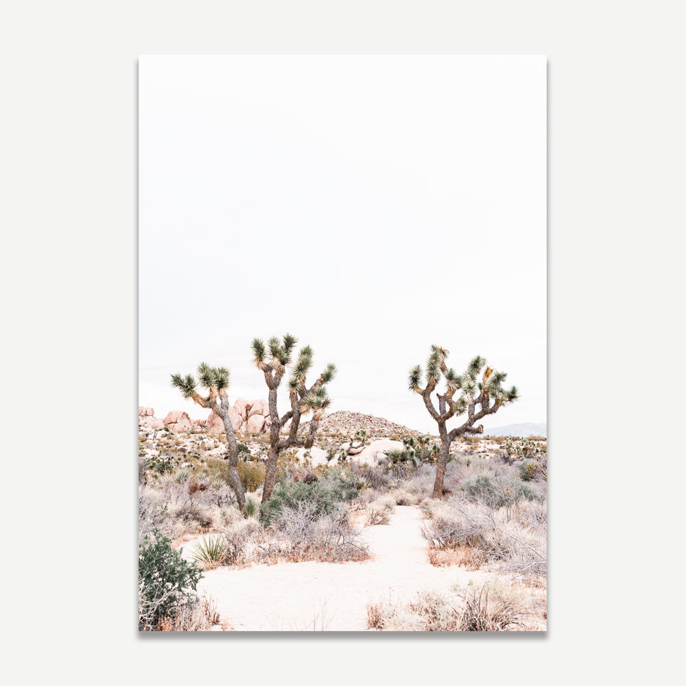 Set of 2 Art Prints - Joshua Tree & Yukka