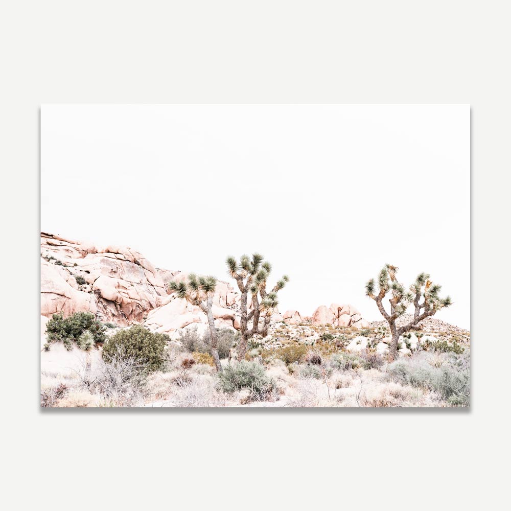 Desert landscape of Joshua Tree National Park, California in artful wall decor by OblongShop.