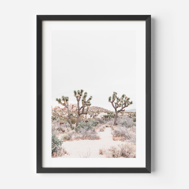 Joshua Tree