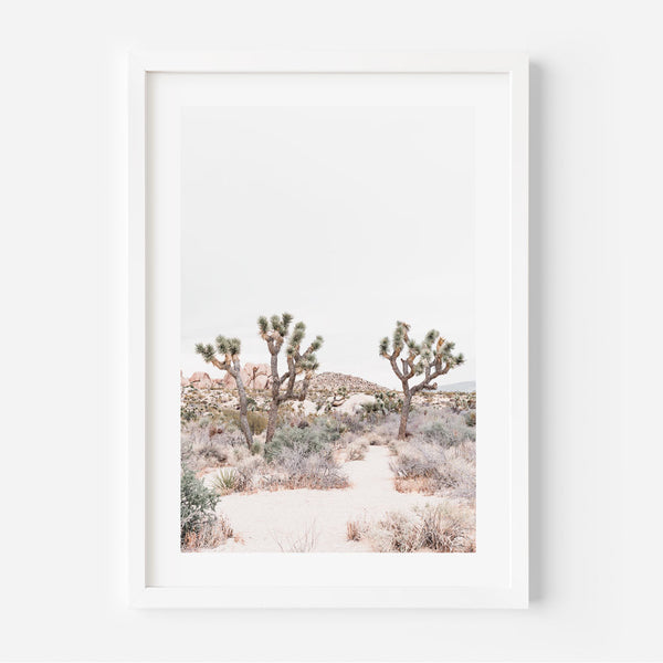 Joshua Tree