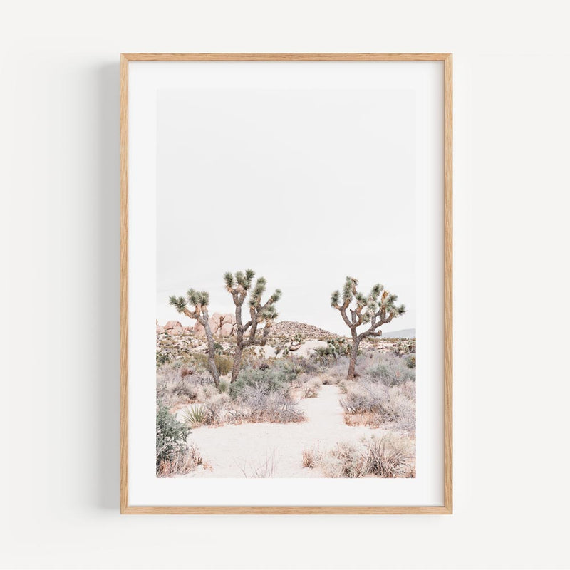 Joshua Tree