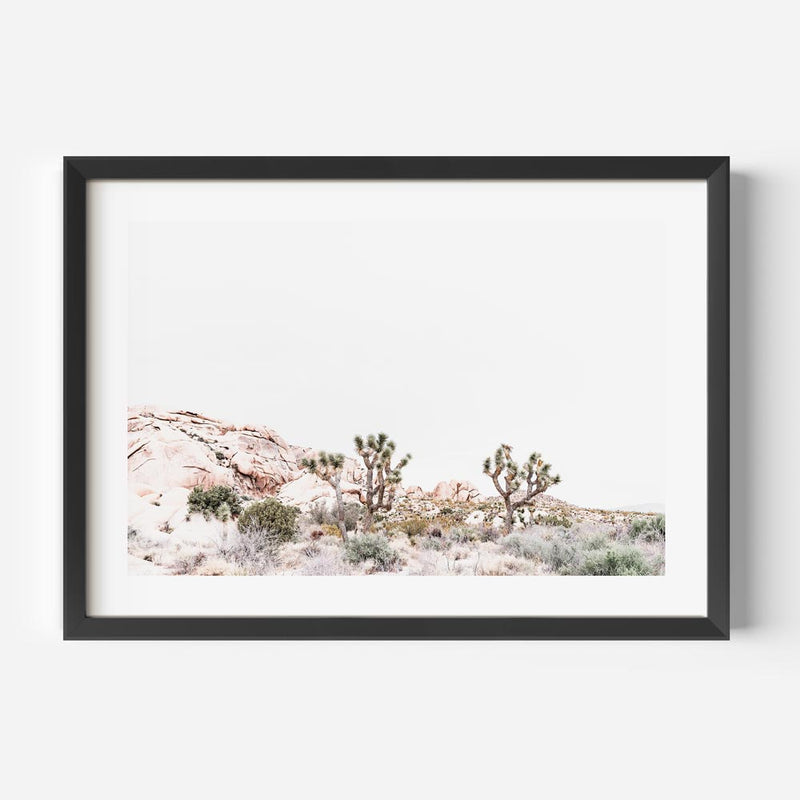 Joshua Tree L