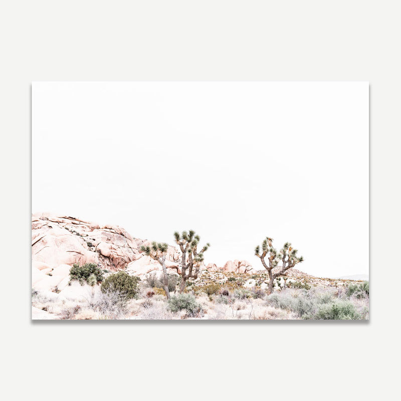 Joshua Tree L