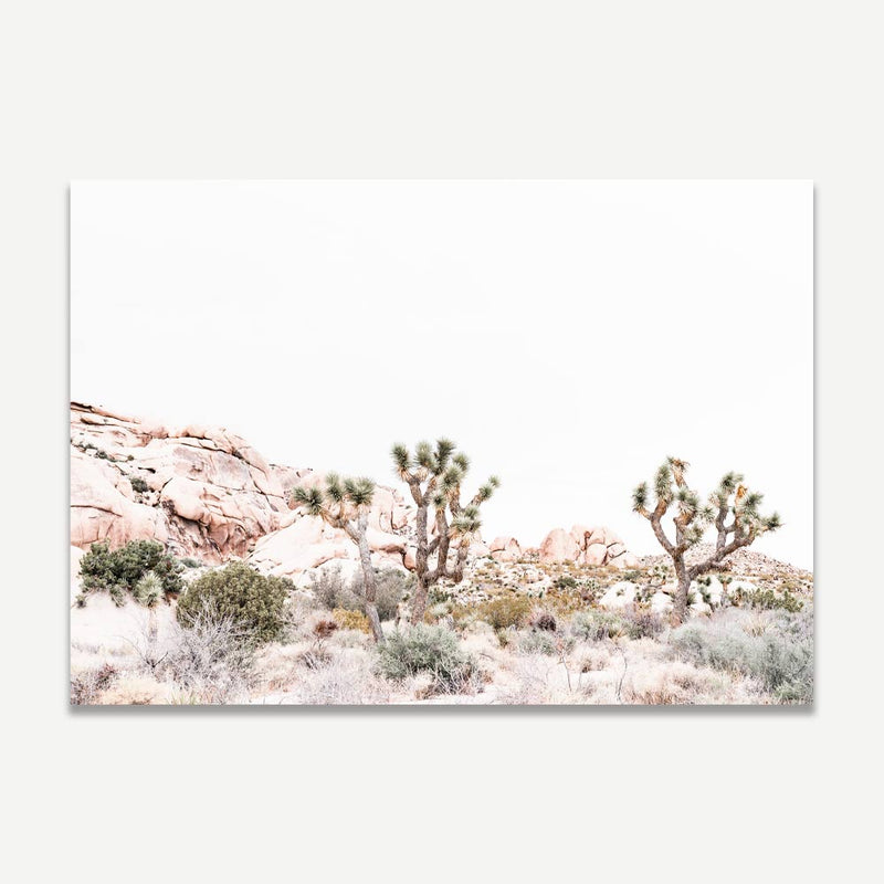 Joshua Tree NPS L