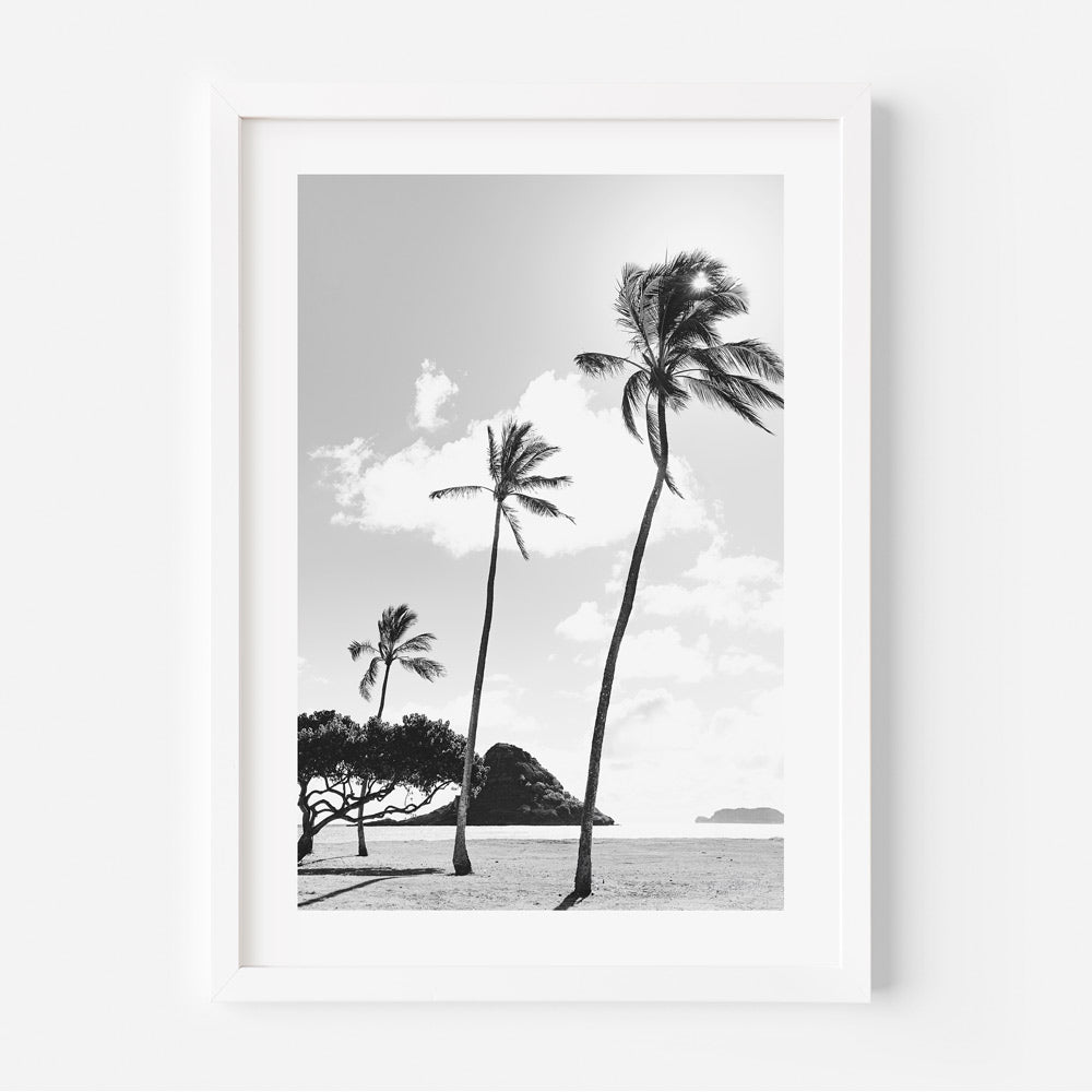 Captivating black and white canvas print of palm trees at Kualoa Point - Perfect for stunning wall art.