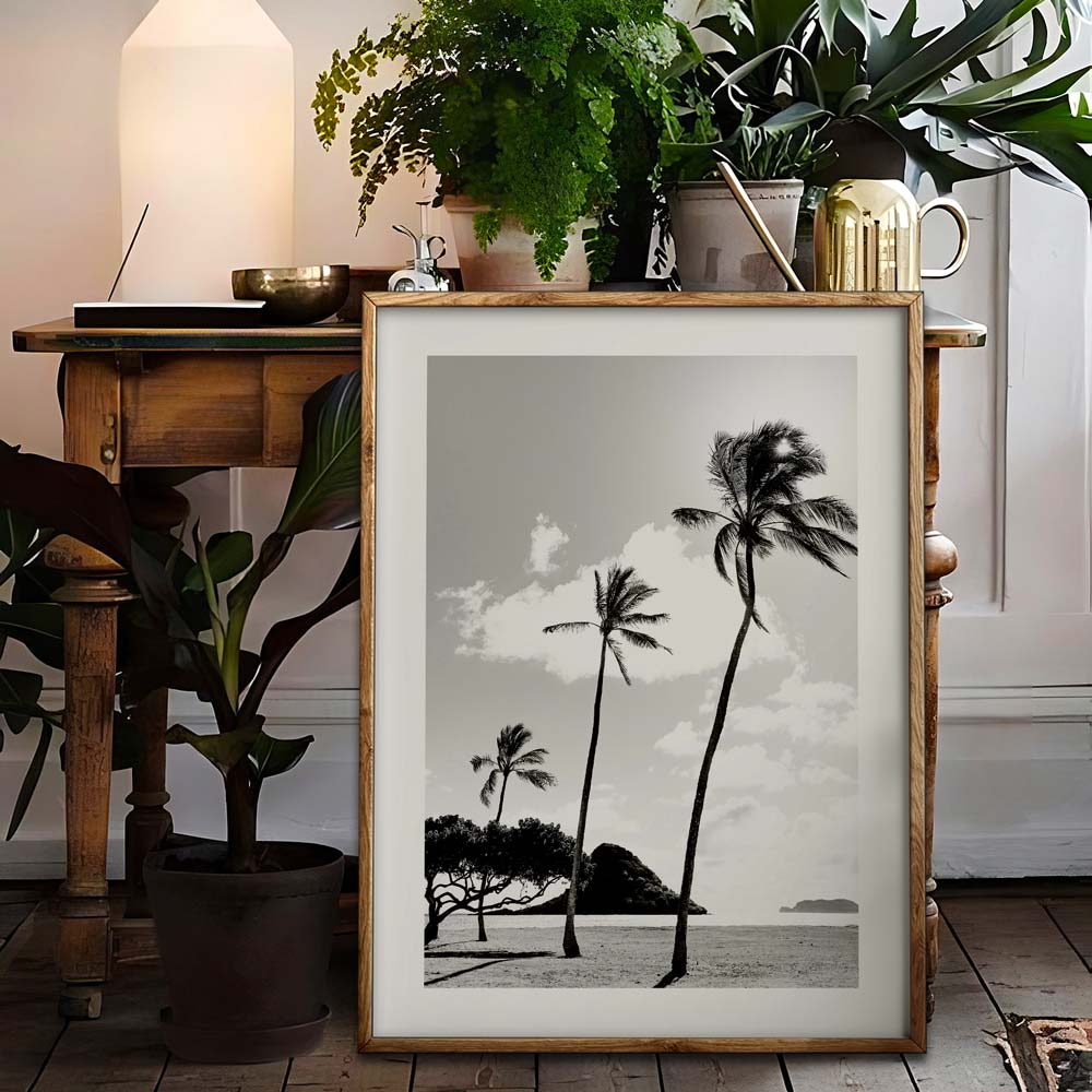 Serene black and white scene of palm trees at Kualoa Point - Ideal for enhancing your wall decor.