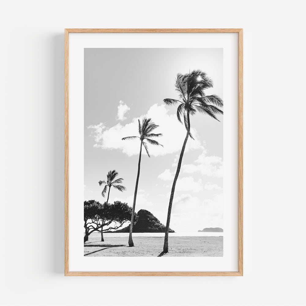 Iconic black and white silhouette of palm trees at Kualoa Point - Enhance your space with this elegant wall decor.